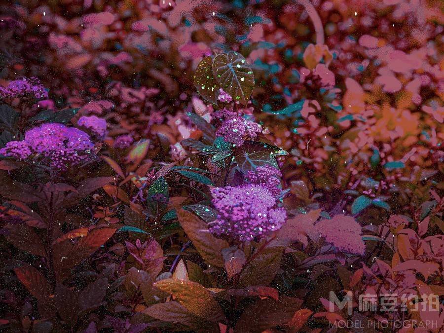 森系模特