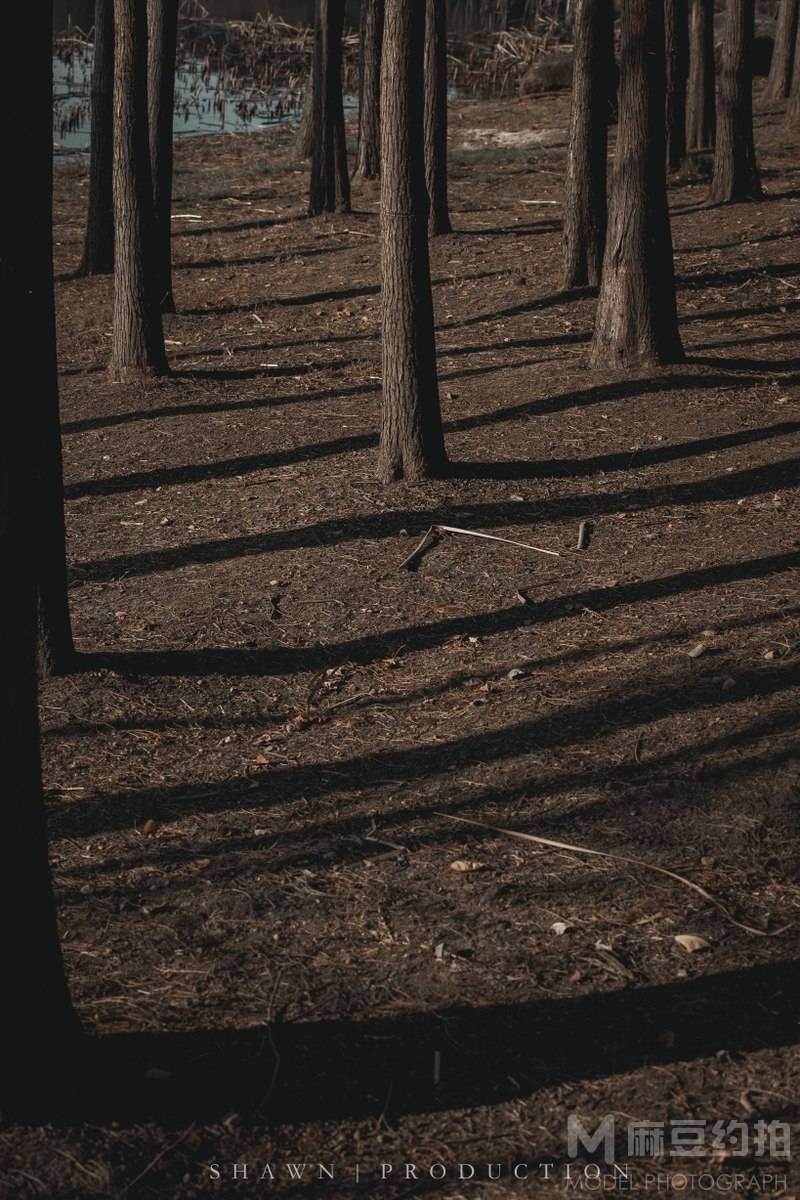 纪实模特
