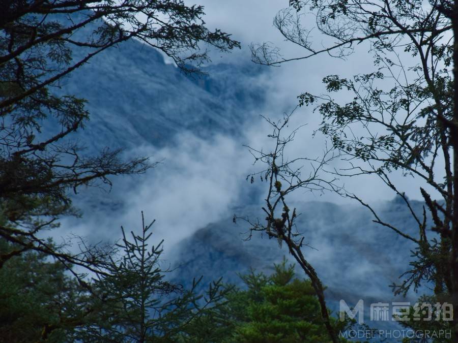 黑白模特