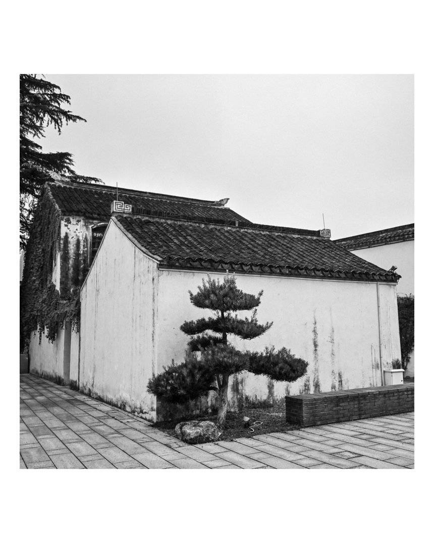 黑白模特