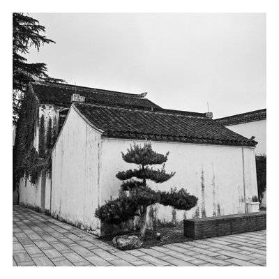 黑白模特