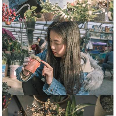 清新模特