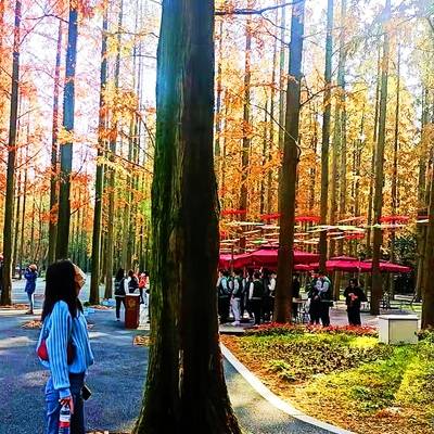 纪实模特