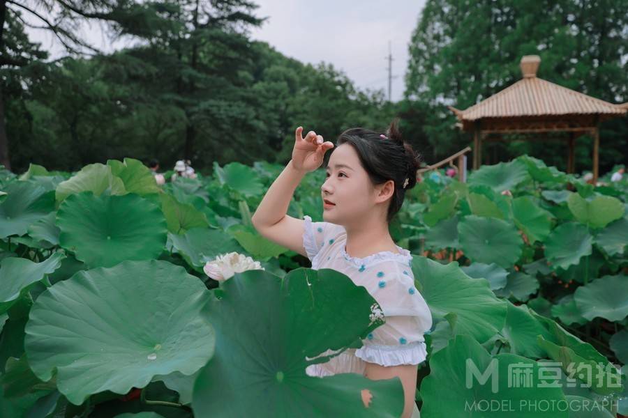清新模特