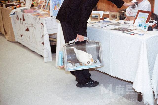 胶片模特