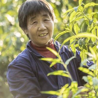 纪实模特