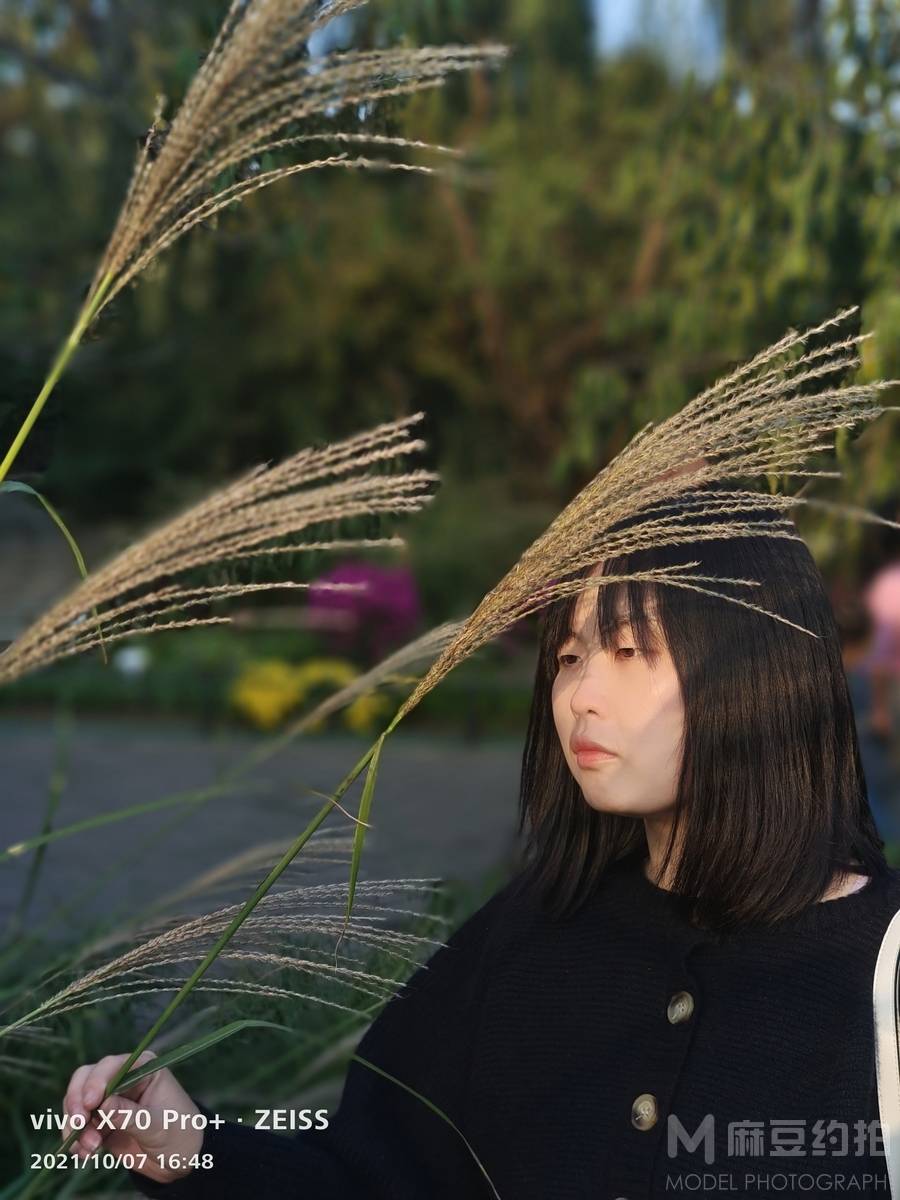 纪实模特