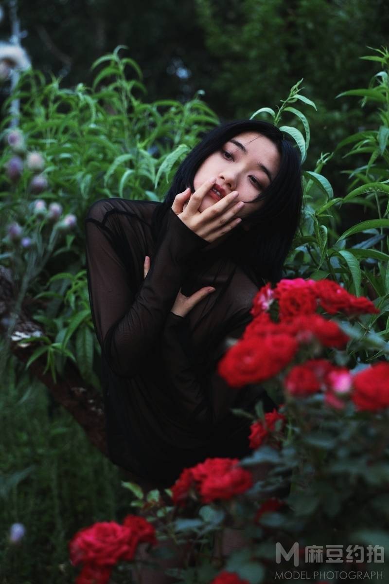 清新模特