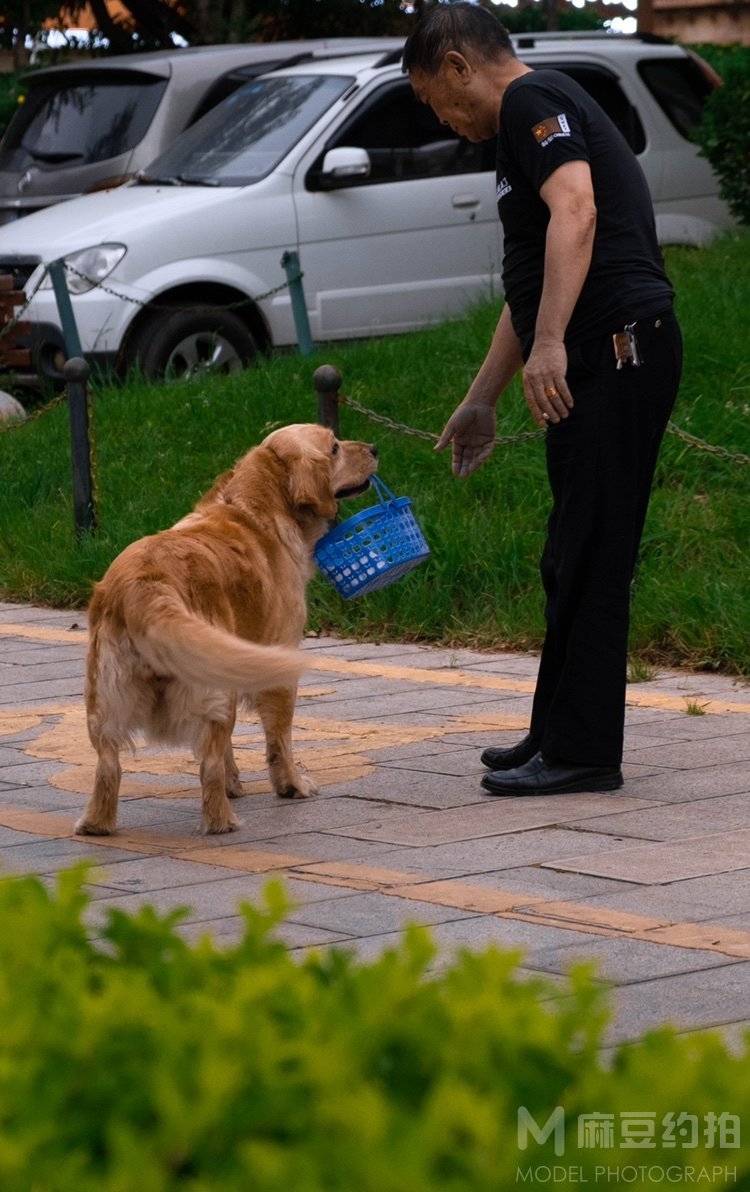 复古模特