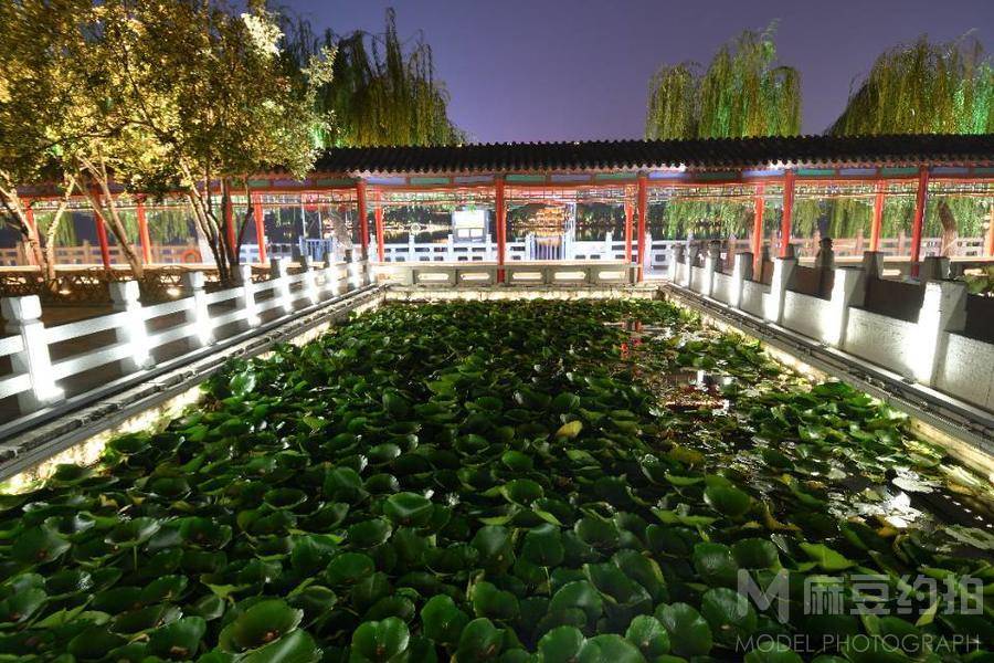 夜景模特