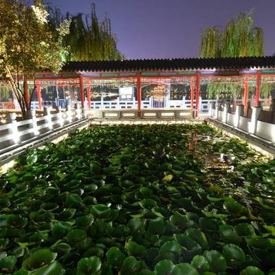 夜景模特