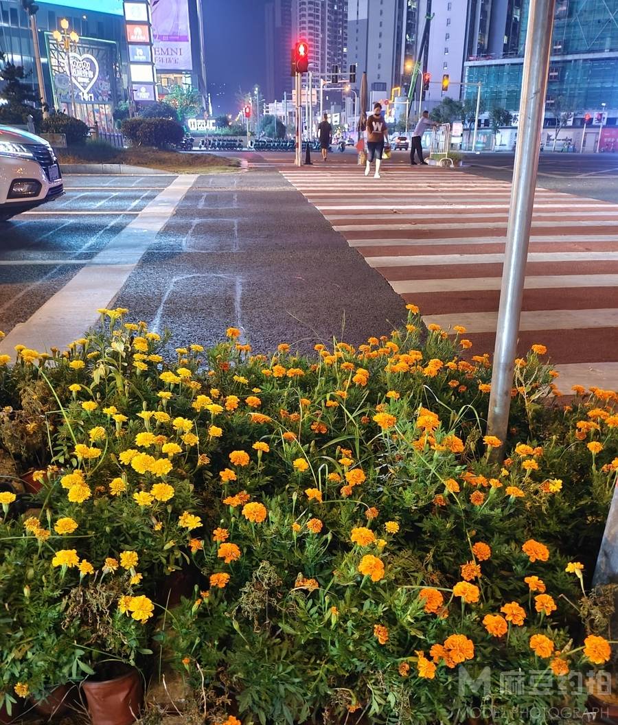 夜景模特