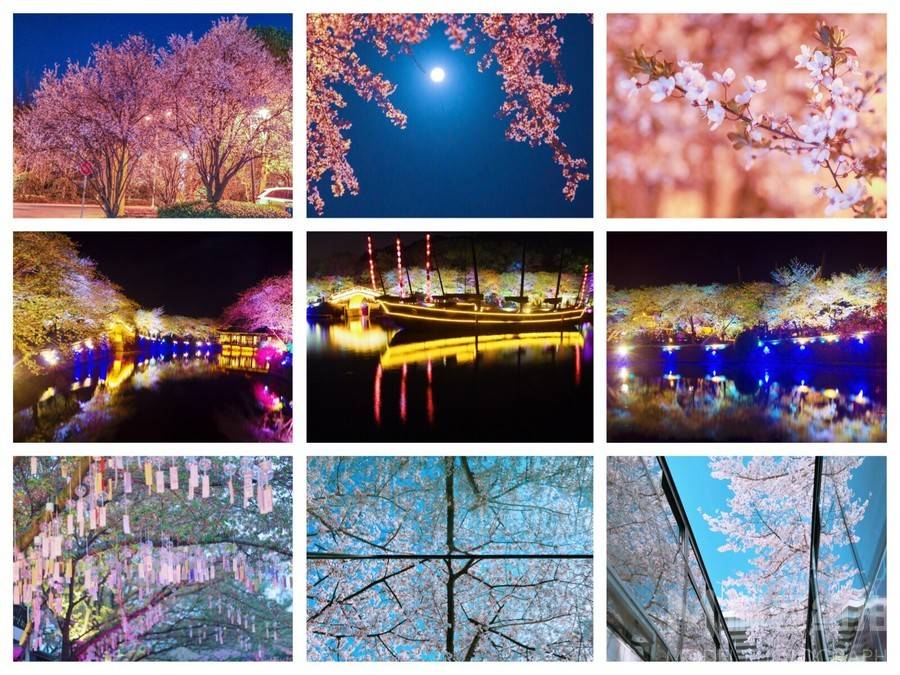 夜景模特