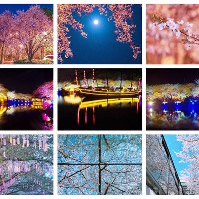 夜景模特