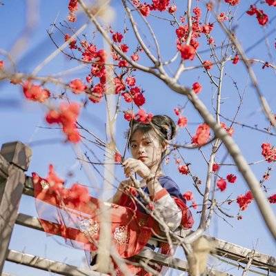 民国模特