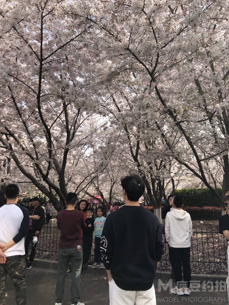 日系模特
