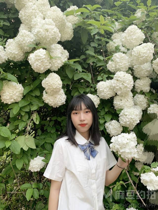 校园模特