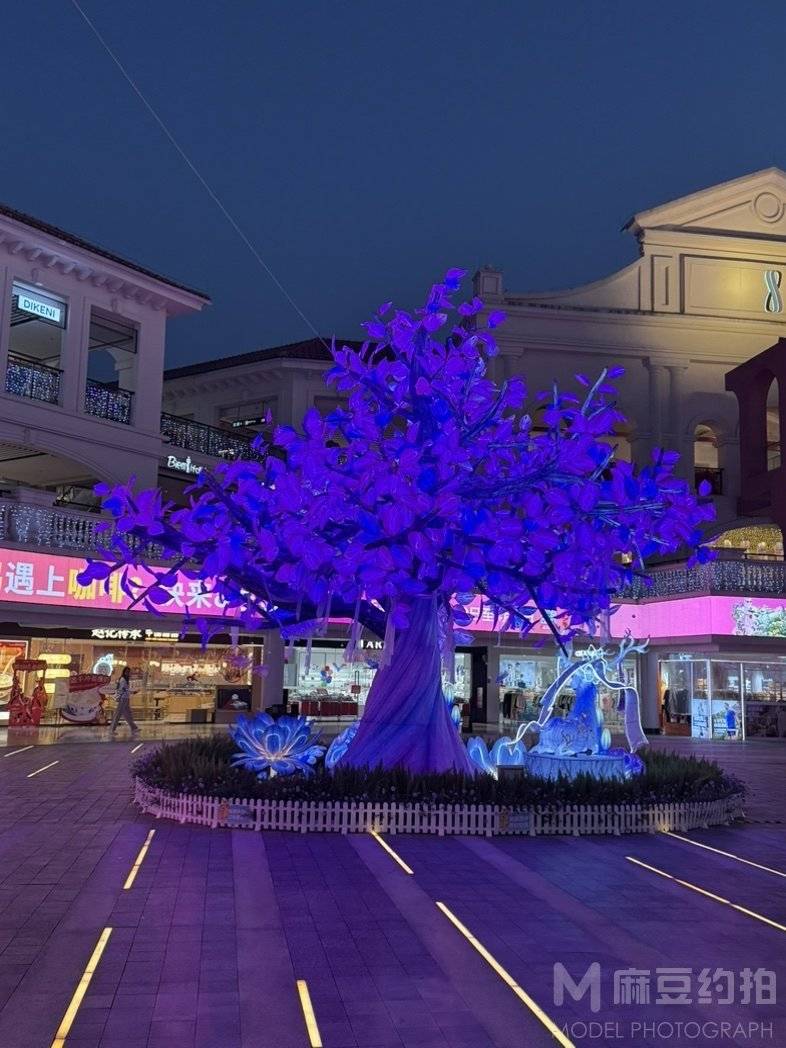 夜景模特