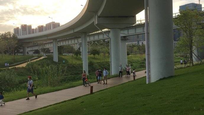 大沙河沿岸