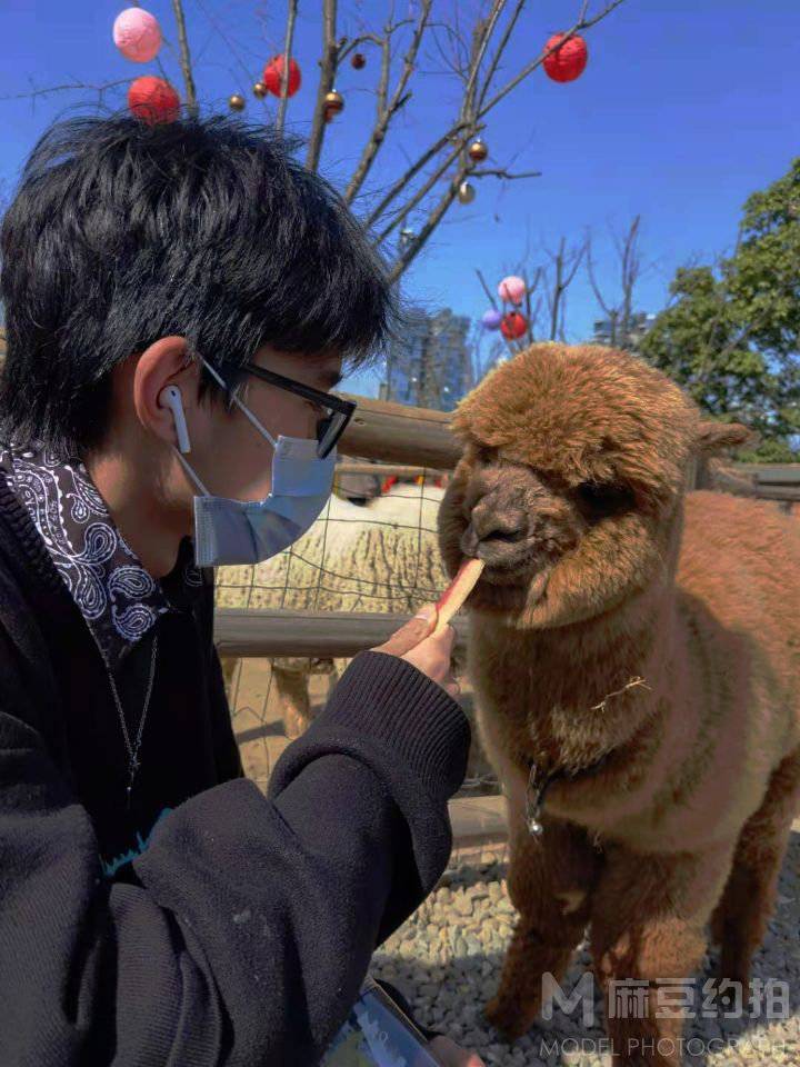 纪实模特