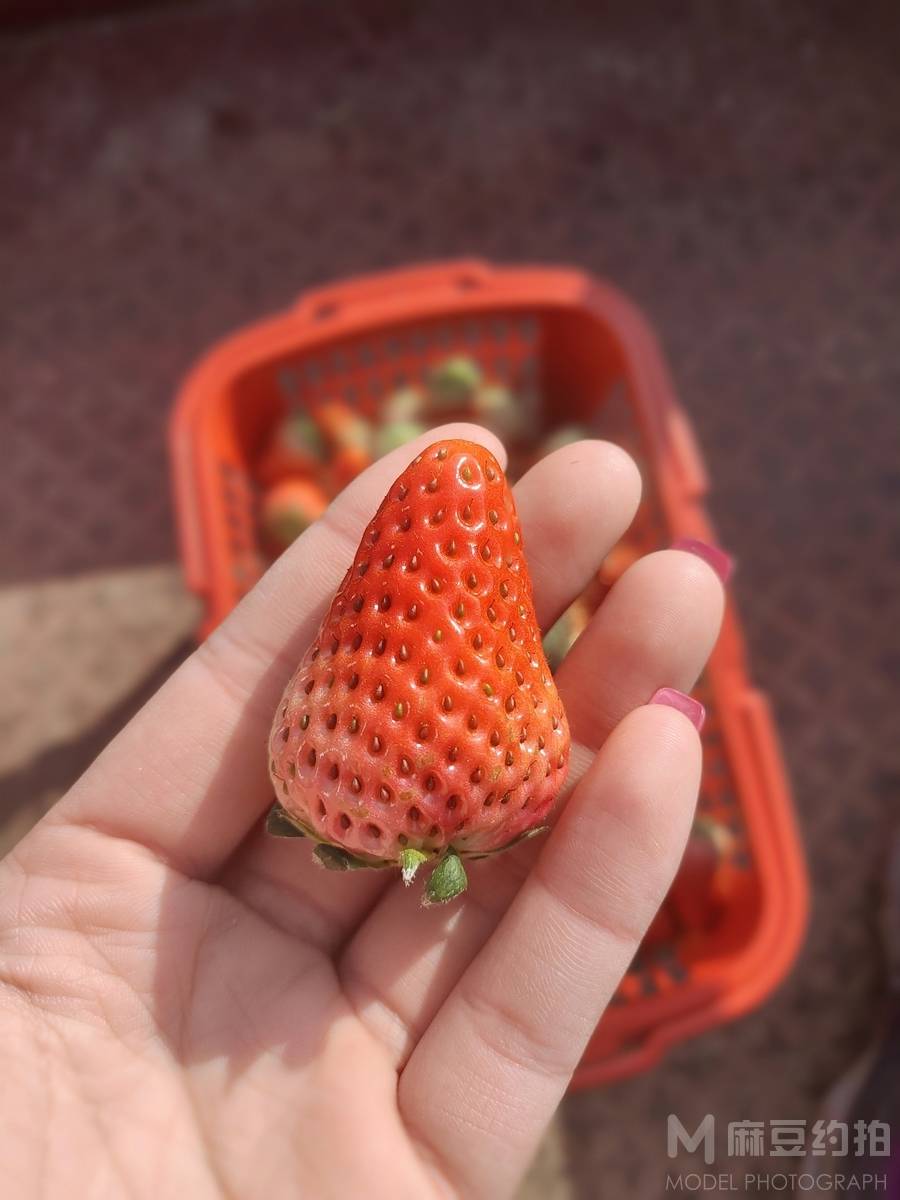纪实模特