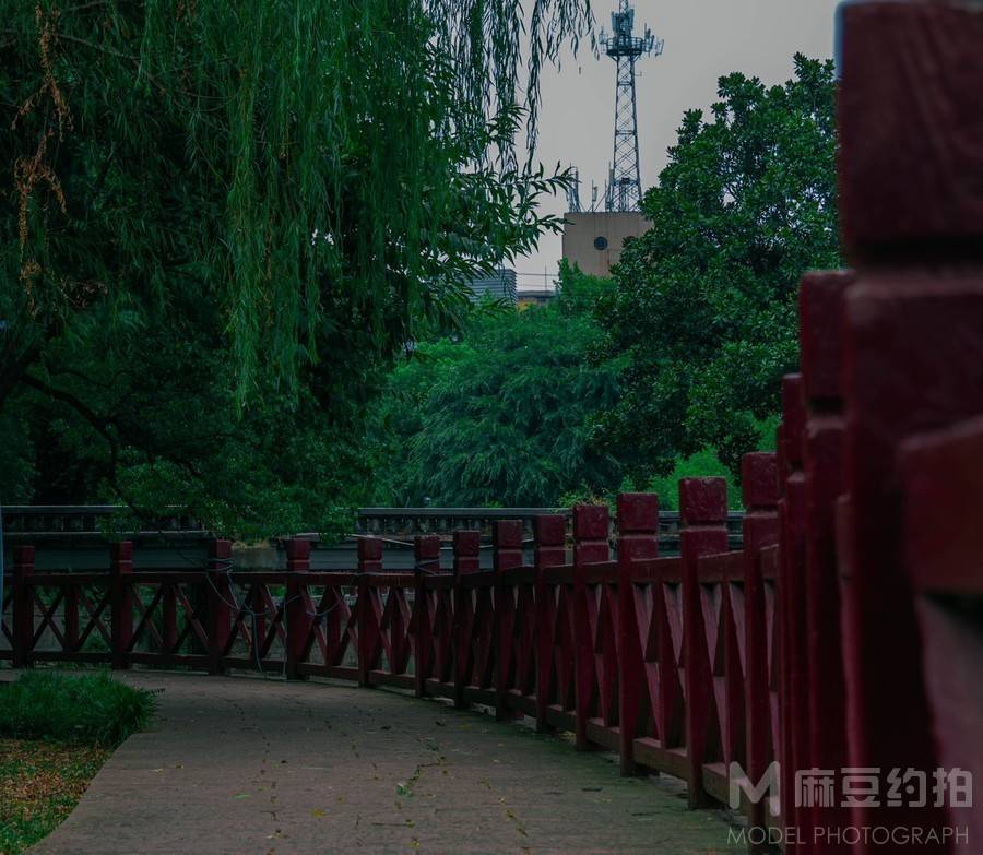 纪实模特
