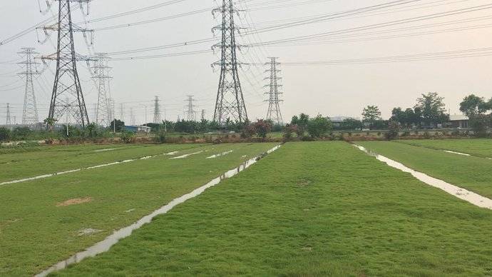 番禺低涌（小清新圣地）