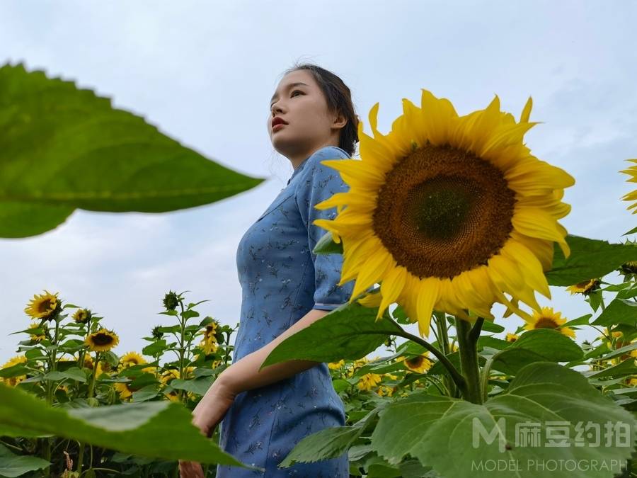 清新模特