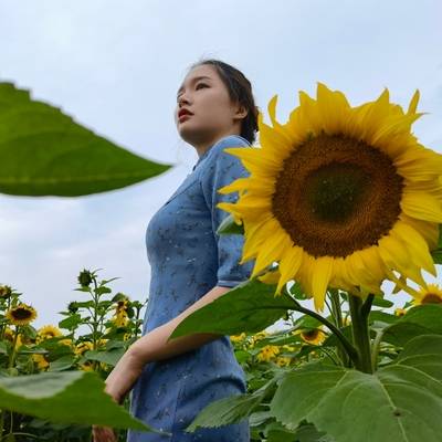 清新模特