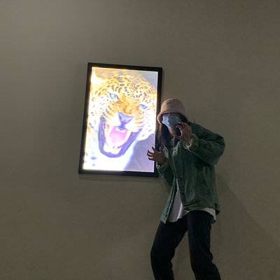 校园模特