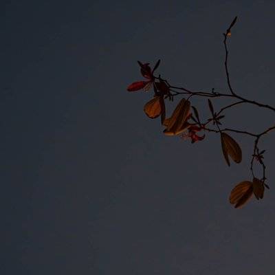 黑白模特