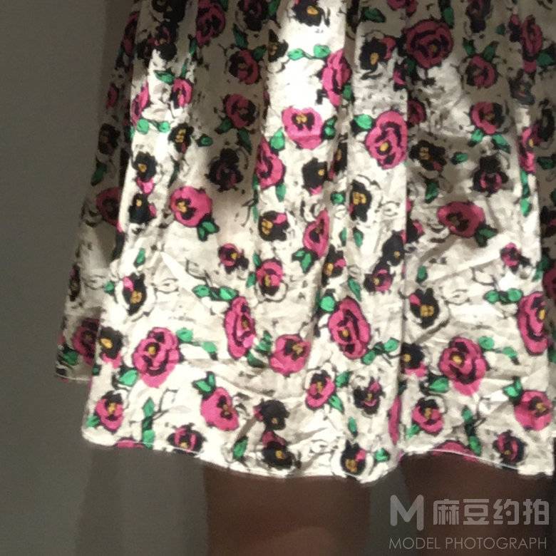 胶片模特
