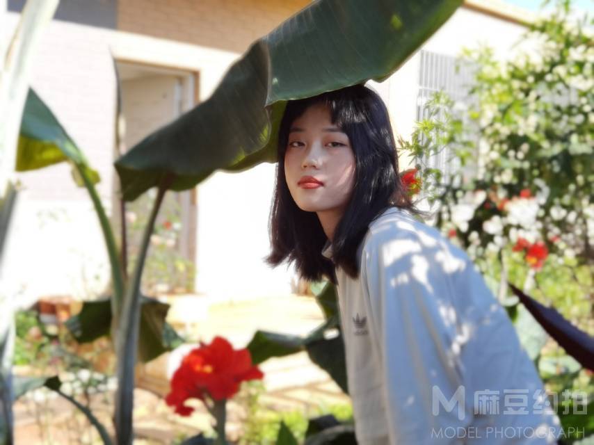 清新模特