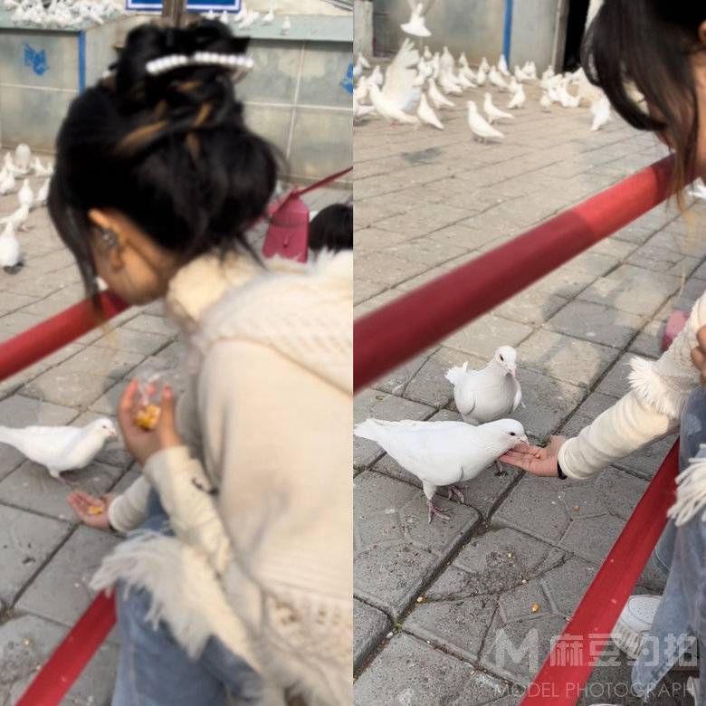 校园模特