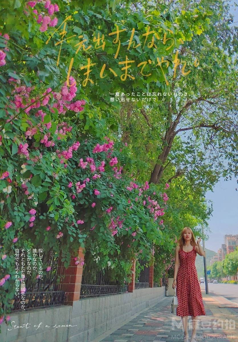 韩系模特