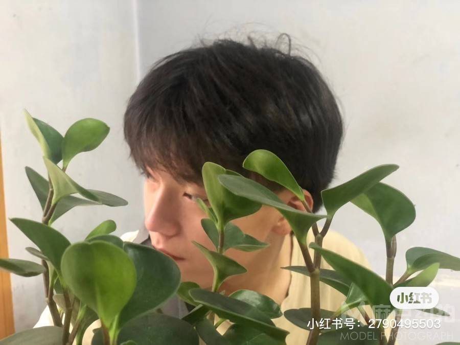 纪实模特