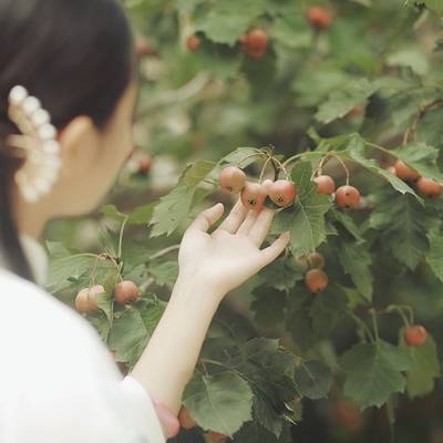 民国模特