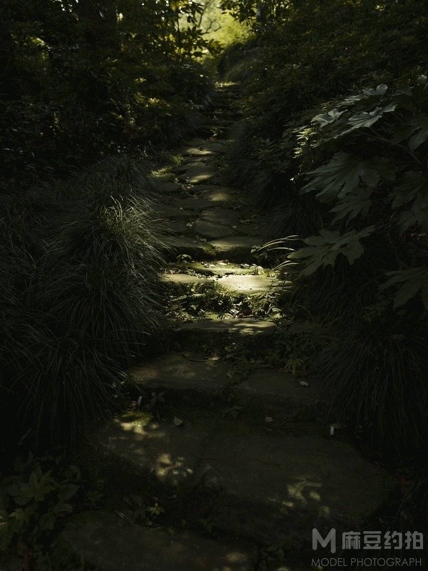 纪实模特