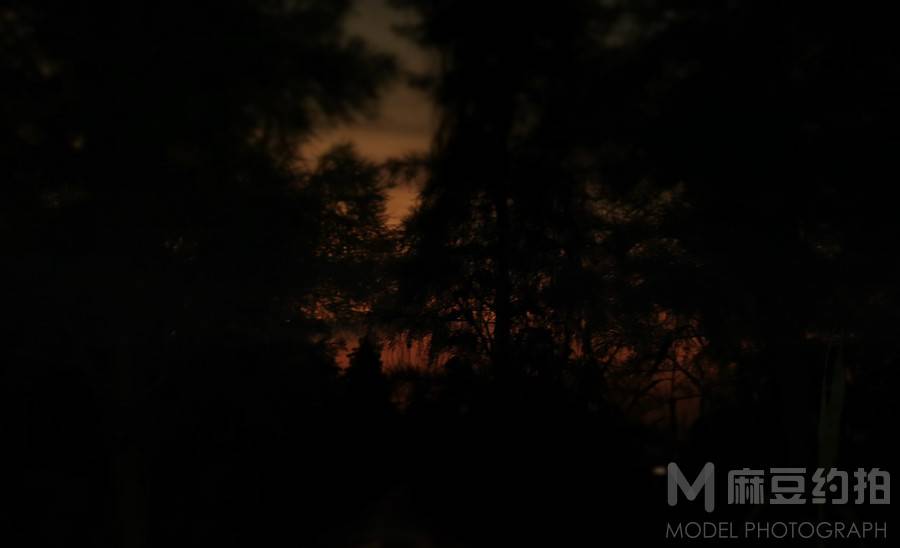 夜景模特