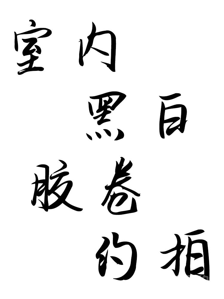 胶片模特