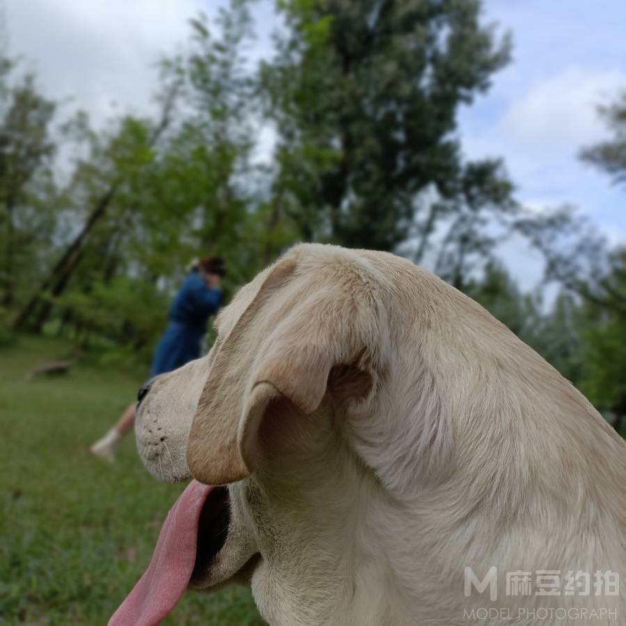 纪实模特