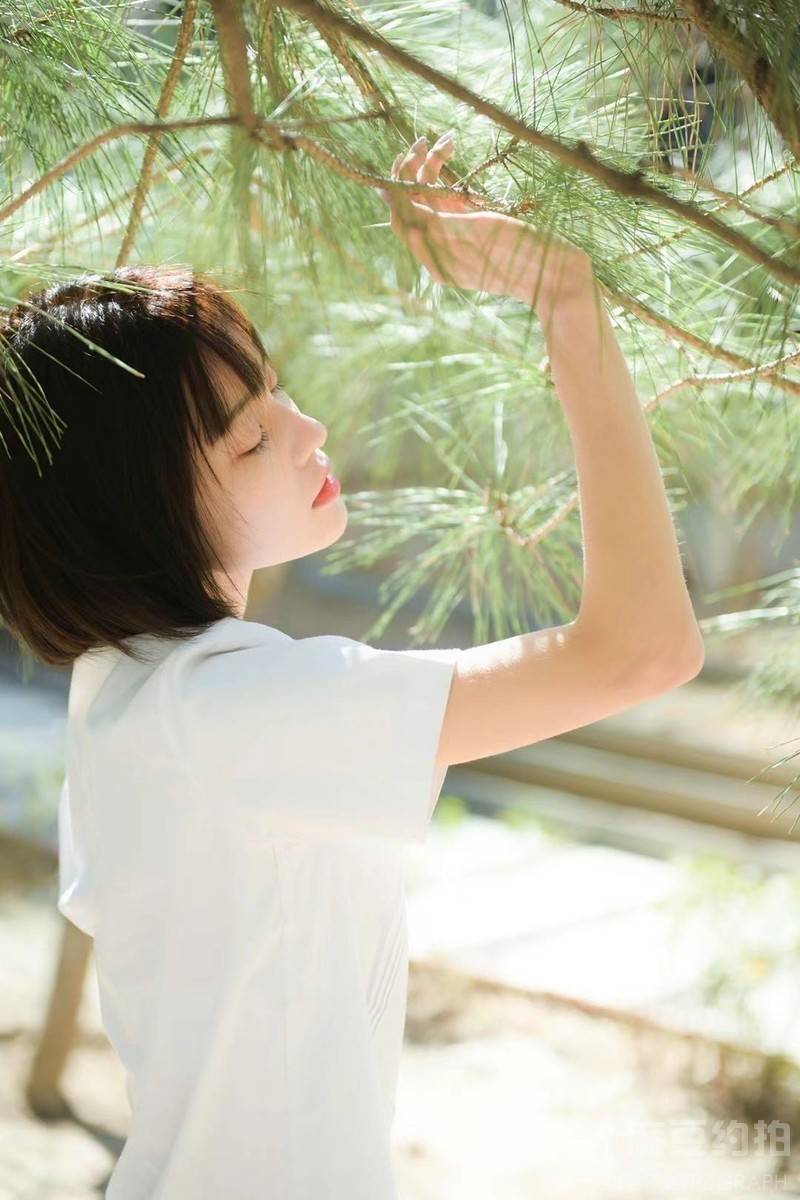 清新模特