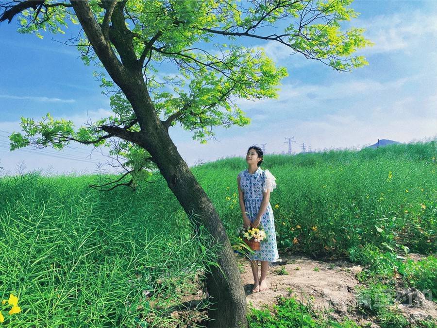 清新模特