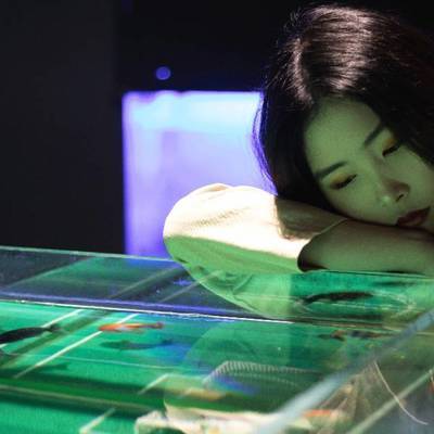 情绪模特