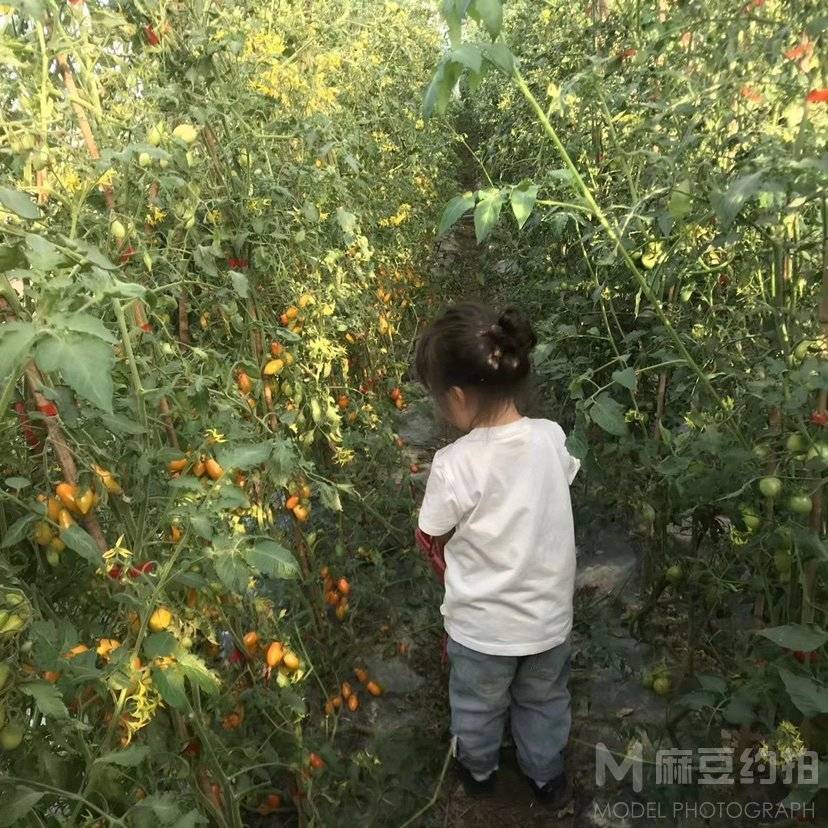 儿童摄影模特