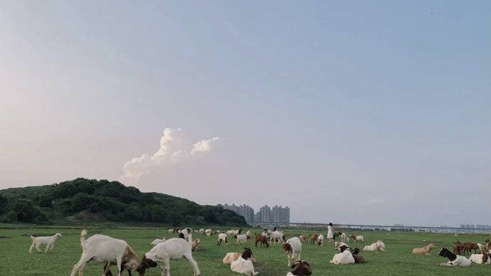 南昌曾港村