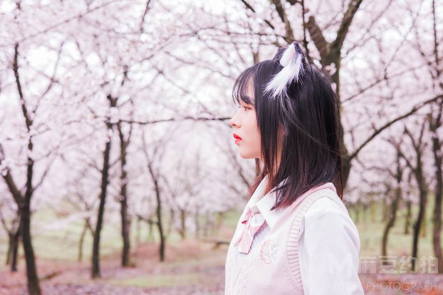 清新模特
