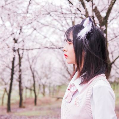 清新模特