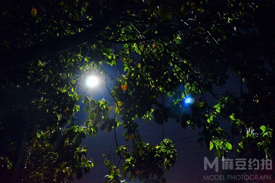 夜景模特