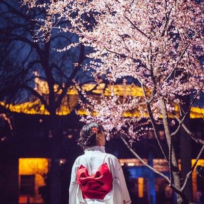 夜景模特